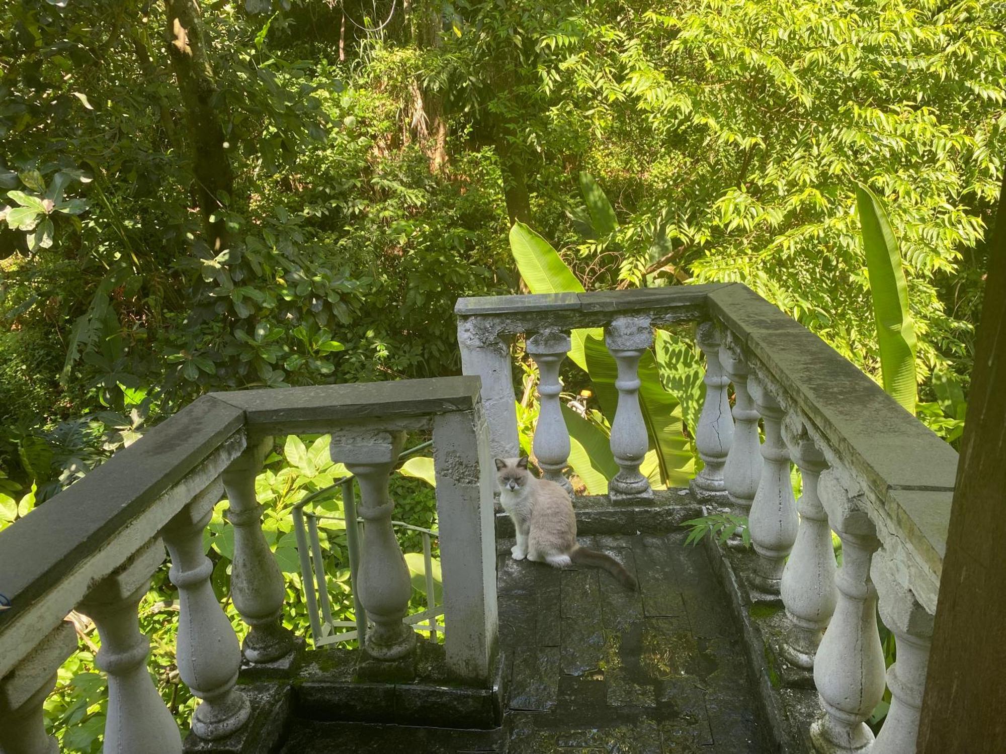 Appartamento Rio Natureza 118